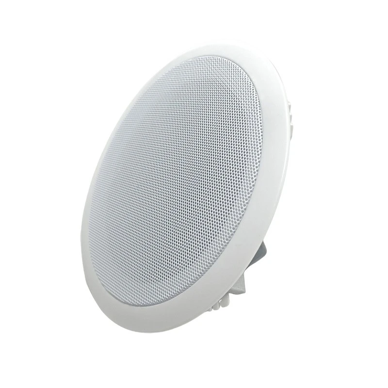white ceiling speakers