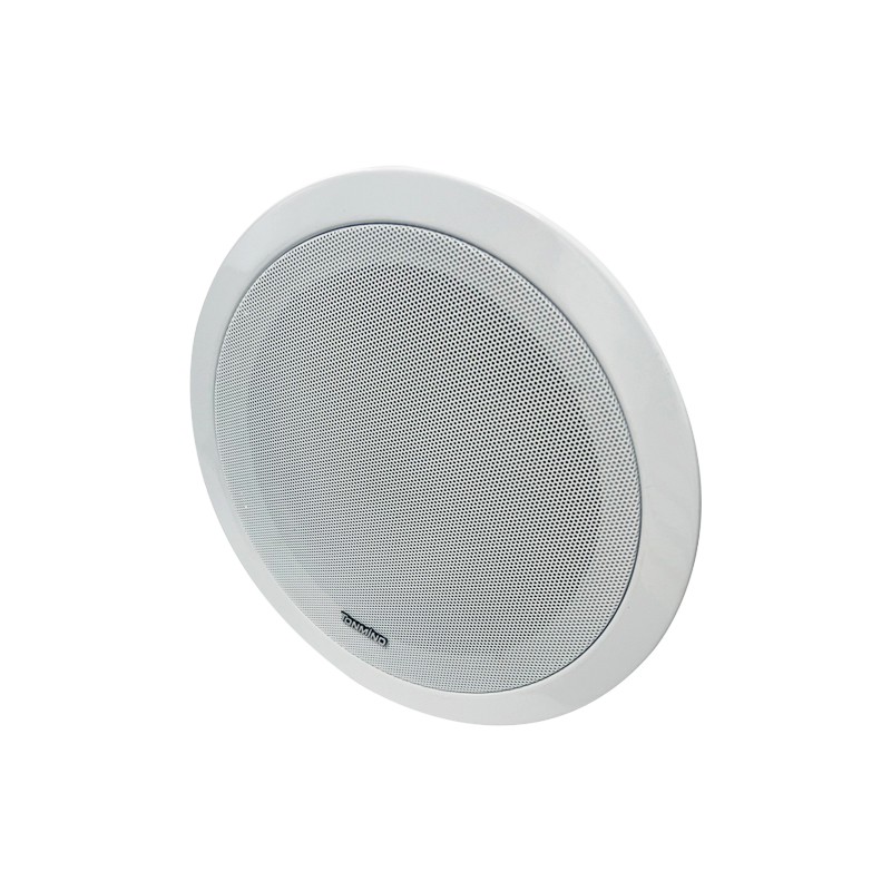 Network Ceiling Speaker