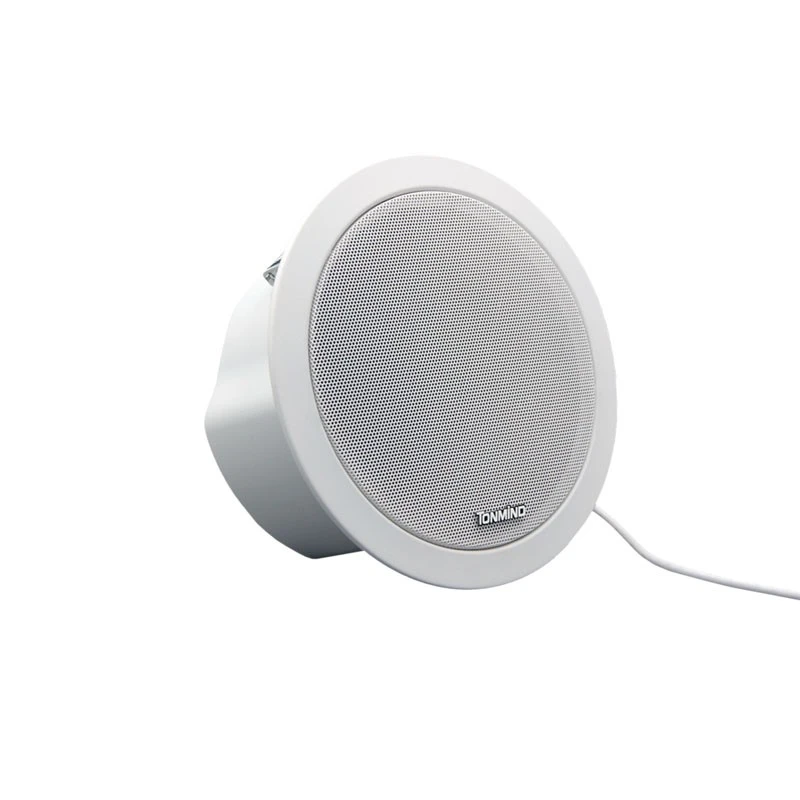 Commercial Ceiling Speaker